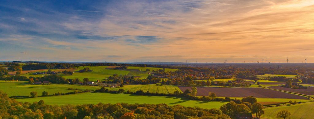 Landschaft mit grünen Böumen im Sonnenuntergang