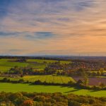 Landschaft mit grünen Böumen im Sonnenuntergang